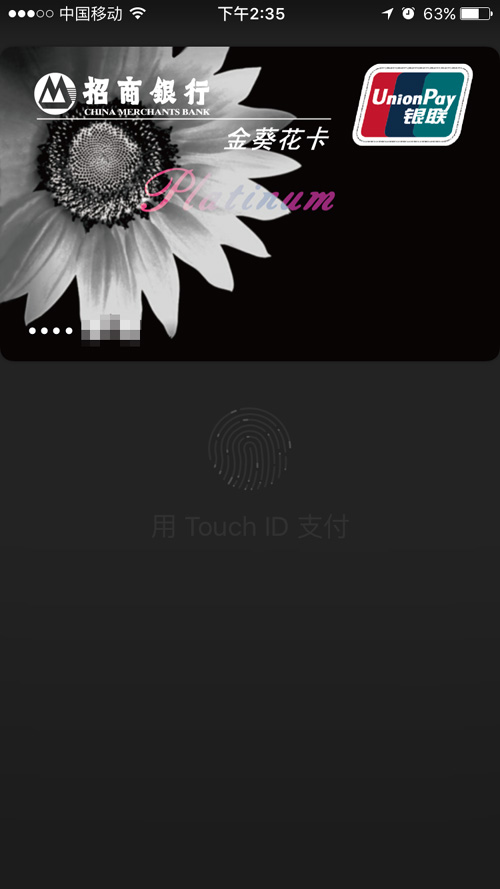 Apple Pay正式進入中國