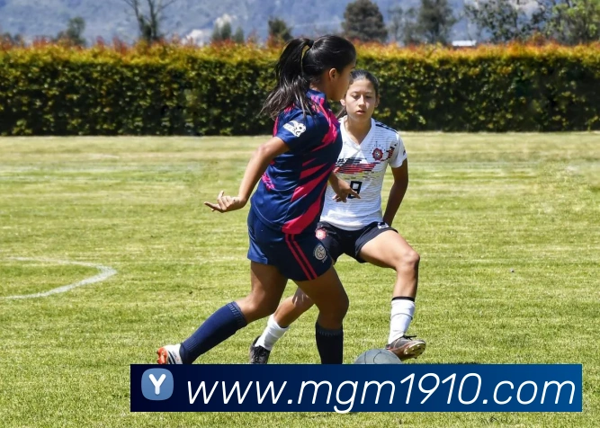 App Interface Preview